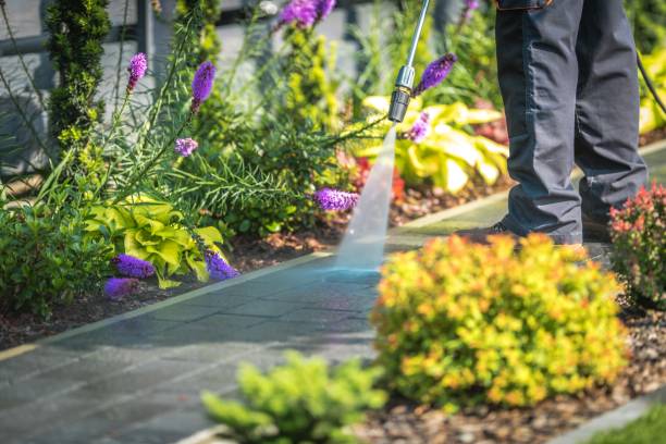 Best Parking Lot and Garage Cleaning  in Goodman, MO
