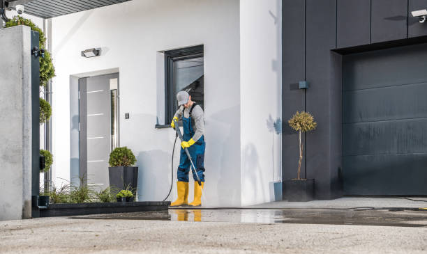 Best Rust Removal  in Goodman, MO